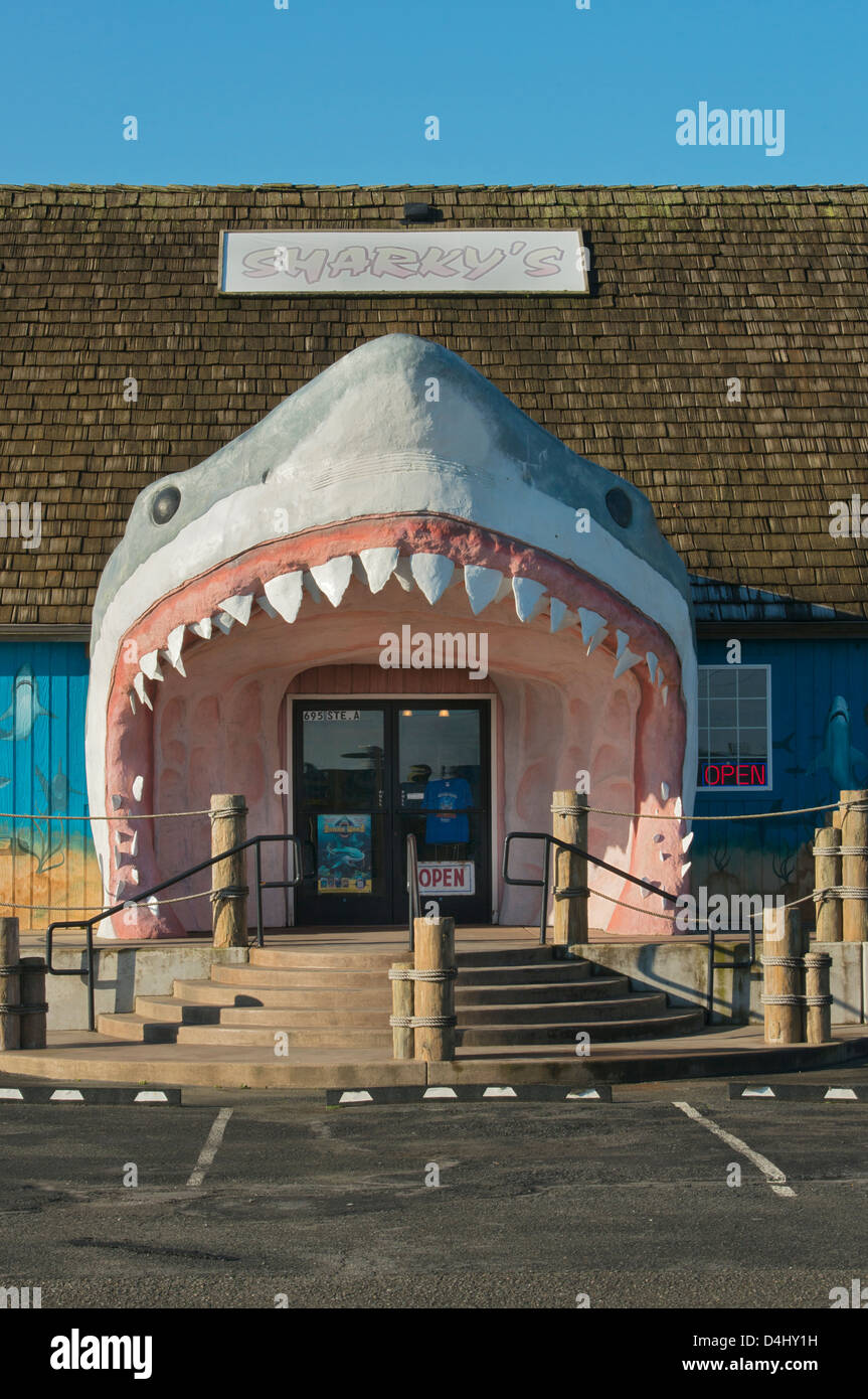 Sharkey es Souvenirladen Tür, Ocean Shores, Washington State Küste Stockfoto