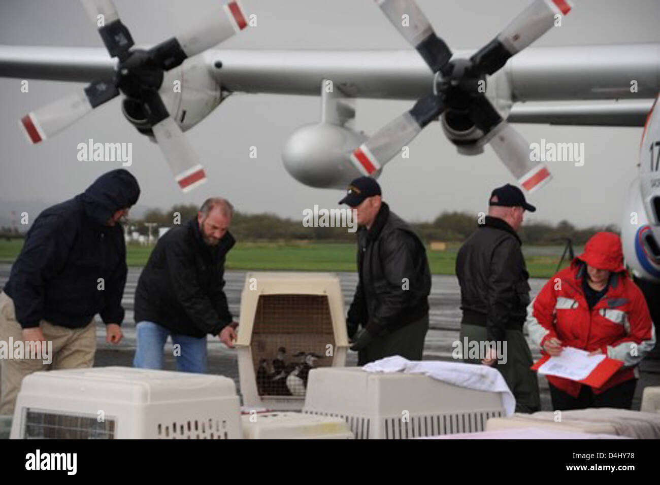 Rote Flut Bird Rescue 4 Stockfoto