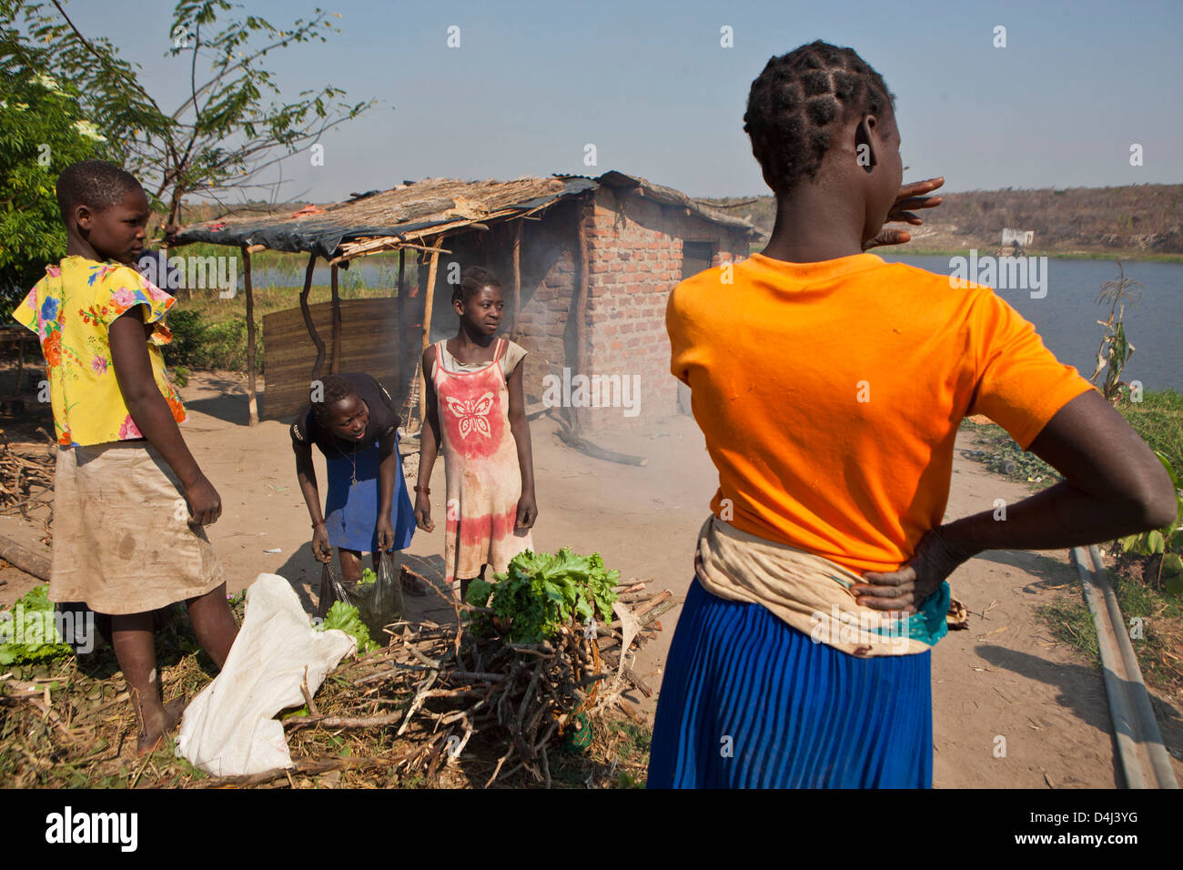Afrikanische Mädchen sammeln Salate, an den lokalen Markt zu nehmen, auf Kubatsirana Farm in Manica Bezirk, Mosambik zu verkaufen. Stockfoto