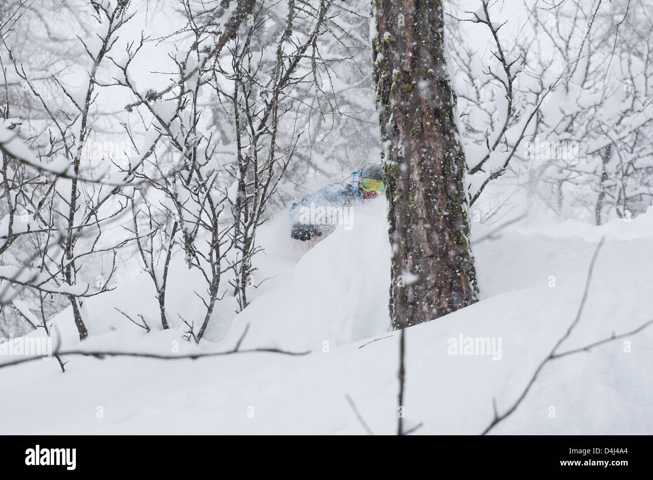 Snowboarder im Tiefschnee Stockfoto