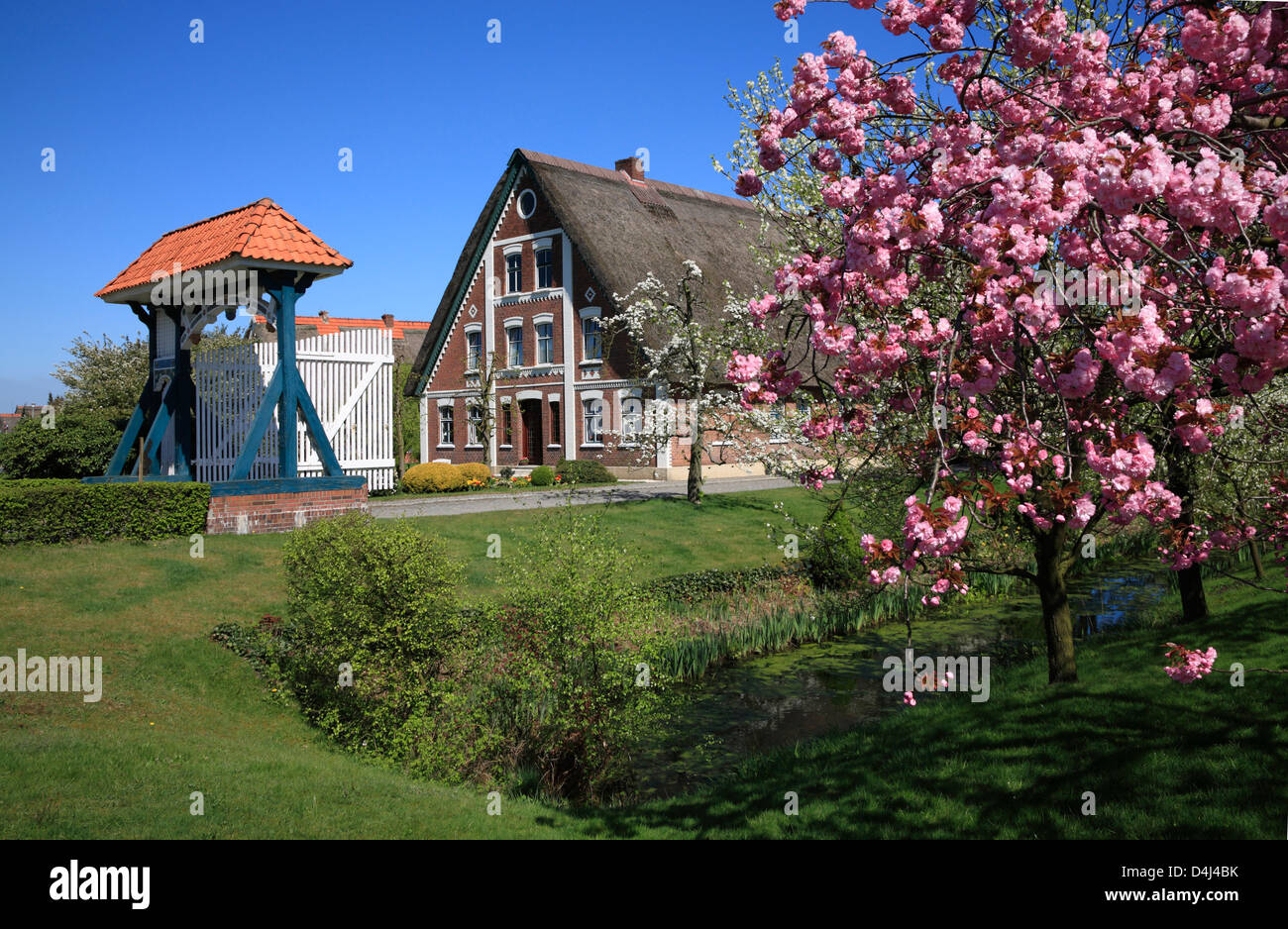 Altes Land, Kirschblüte, Bauernhaus an der Lühe in Steinkirchen