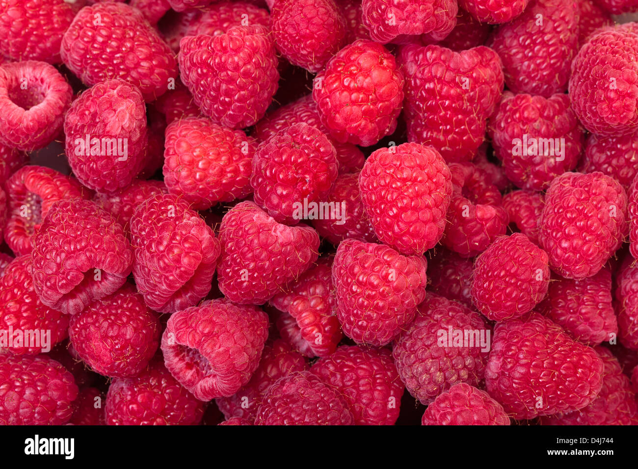 Reife Beeren Rote Himbeere, Closeup, Hintergrund Stockfoto