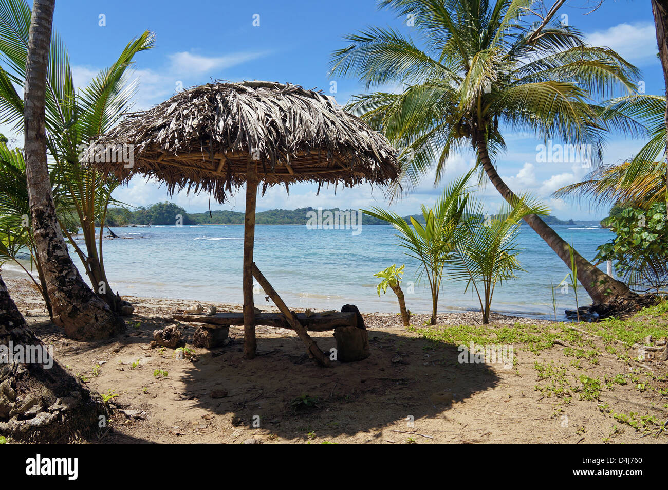 Palm Leaf Stroh Dach unter Kokospalmen an einem tropischen Strand mit karibischen Meer im Hintergrund Stockfoto