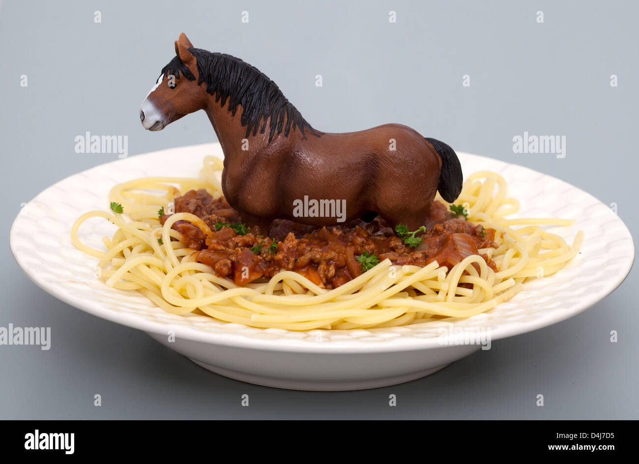 Pferd Spaghetti Bolognese Stockfotografie - Alamy