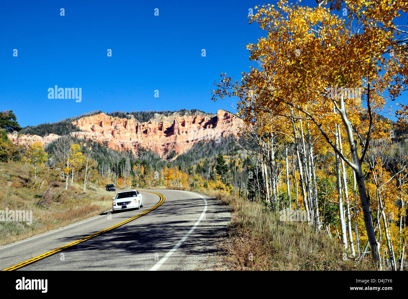Espe Bäume zeigen fallen Farben Linie Utah State Route 14, ein scenic Byway, außen Cedar City Stockfoto