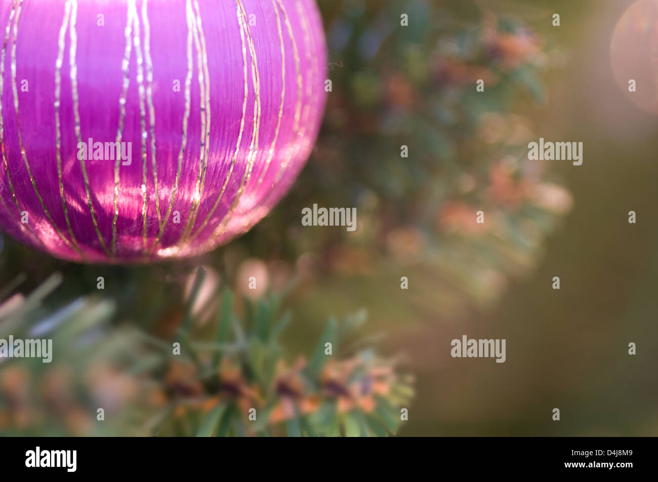 Lila Weihnachtskugel hängen am Baum mit Leerzeichen nach rechts Stockfoto