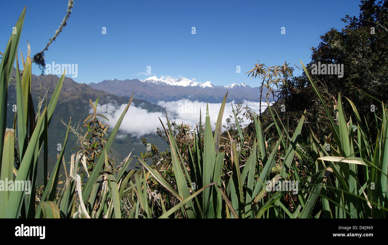 Peruanische Landschaft Stockfoto
