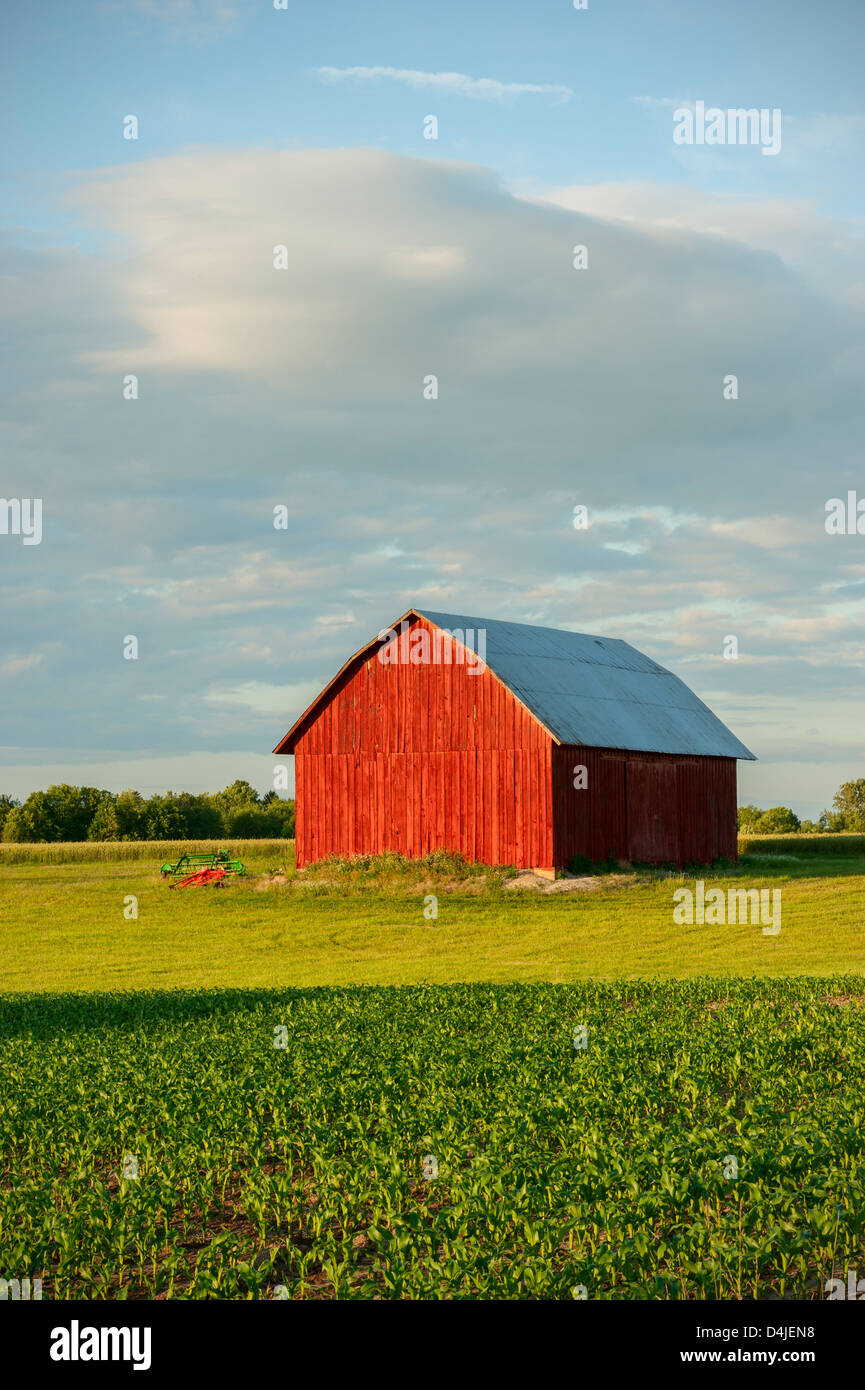 Red Barn Erfassung an einem späten Sommerabend im Mason County, Michigan, USA Stockfoto