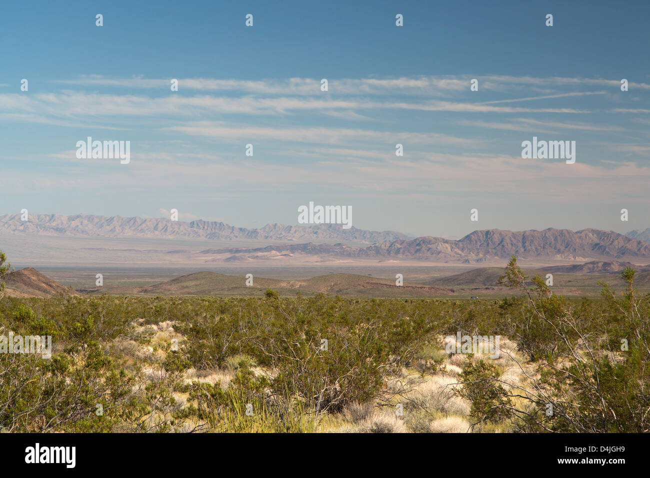 Joshua Tree Nationalpark, Mojave-Wüste, Kalifornien, USA Stockfoto