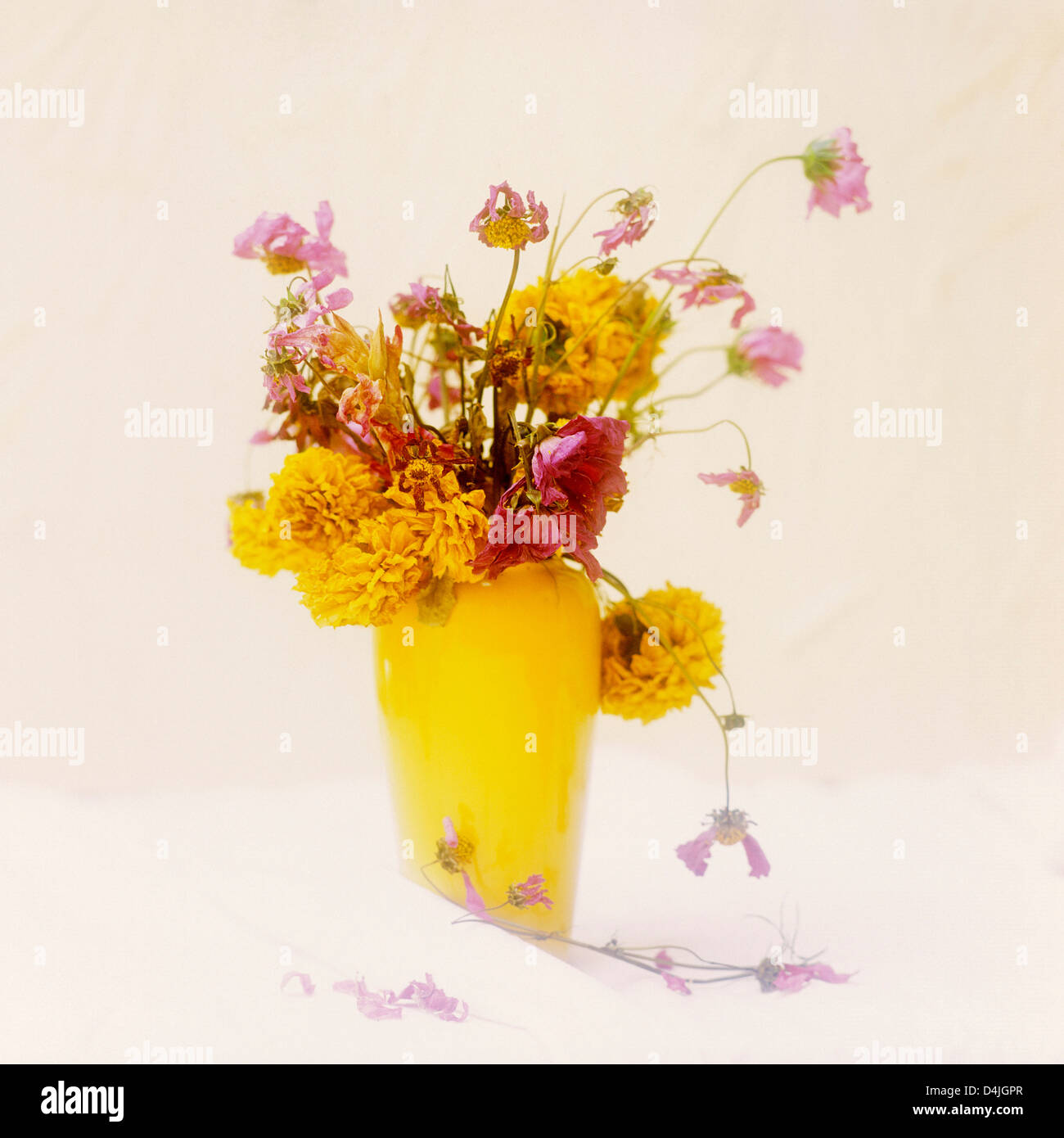 Blumenstrauß. Stockfoto
