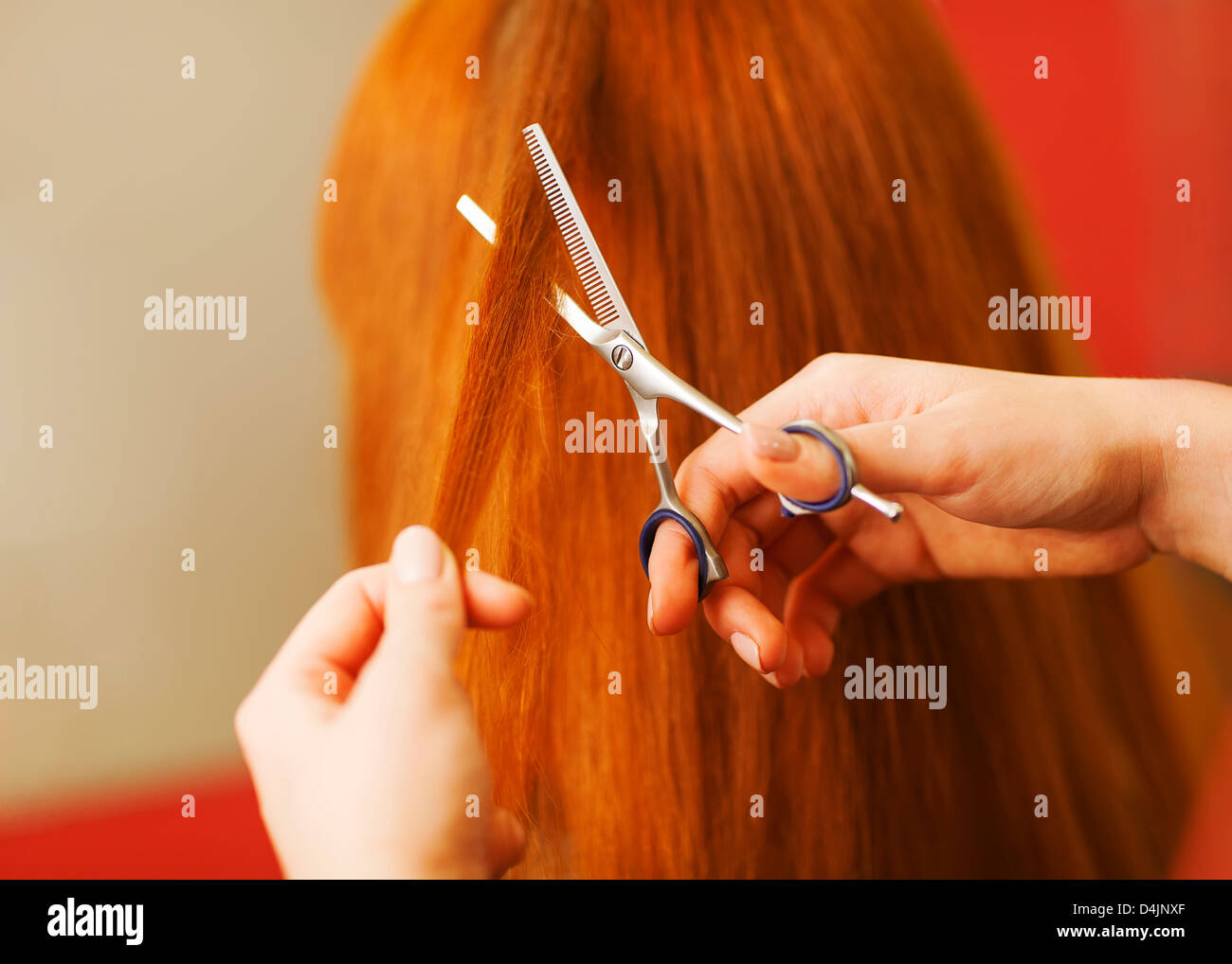 Friseur schneiden Kundenhaar im Beauty-Salon. Stockfoto