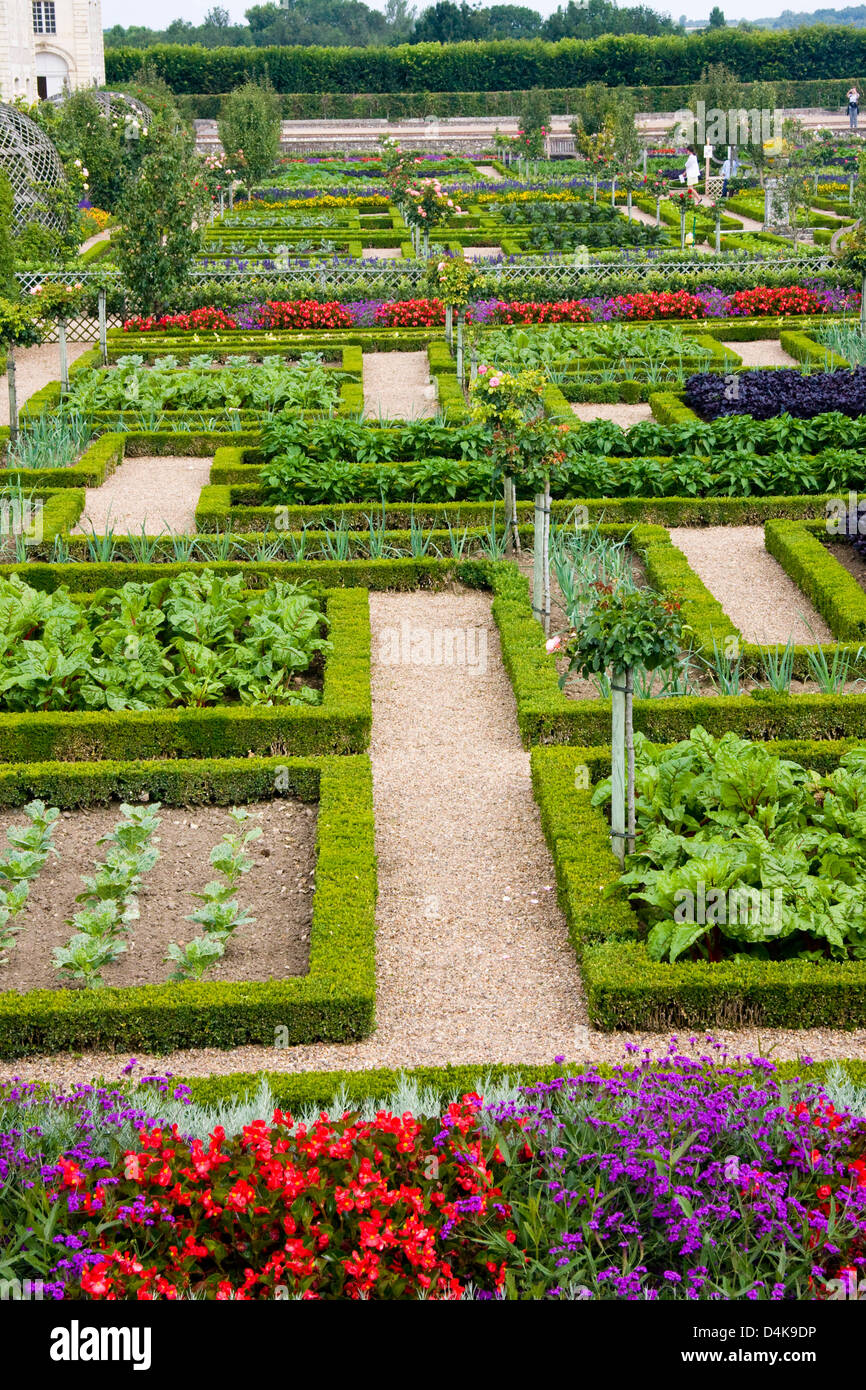 Teil der Renaissance-Küche-Garten in Villandry, Loiretal, Frankreich Stockfoto