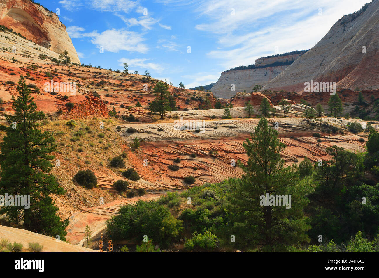 Felsformationen im Zion National Park Stockfoto