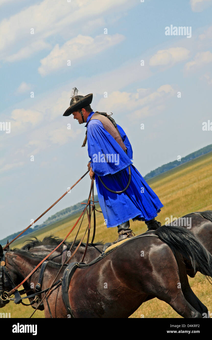 Ausstellung der Reiterei von Gulyas (traditionelle Hirten / Cowboys) auf ungarischen Pferden. Nationalpark Hortobágy, Ungarn Stockfoto