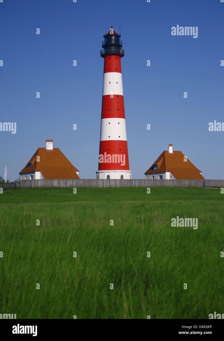 Salzwiesen auf der halbinsel eiderstedt -Fotos und -Bildmaterial in ...
