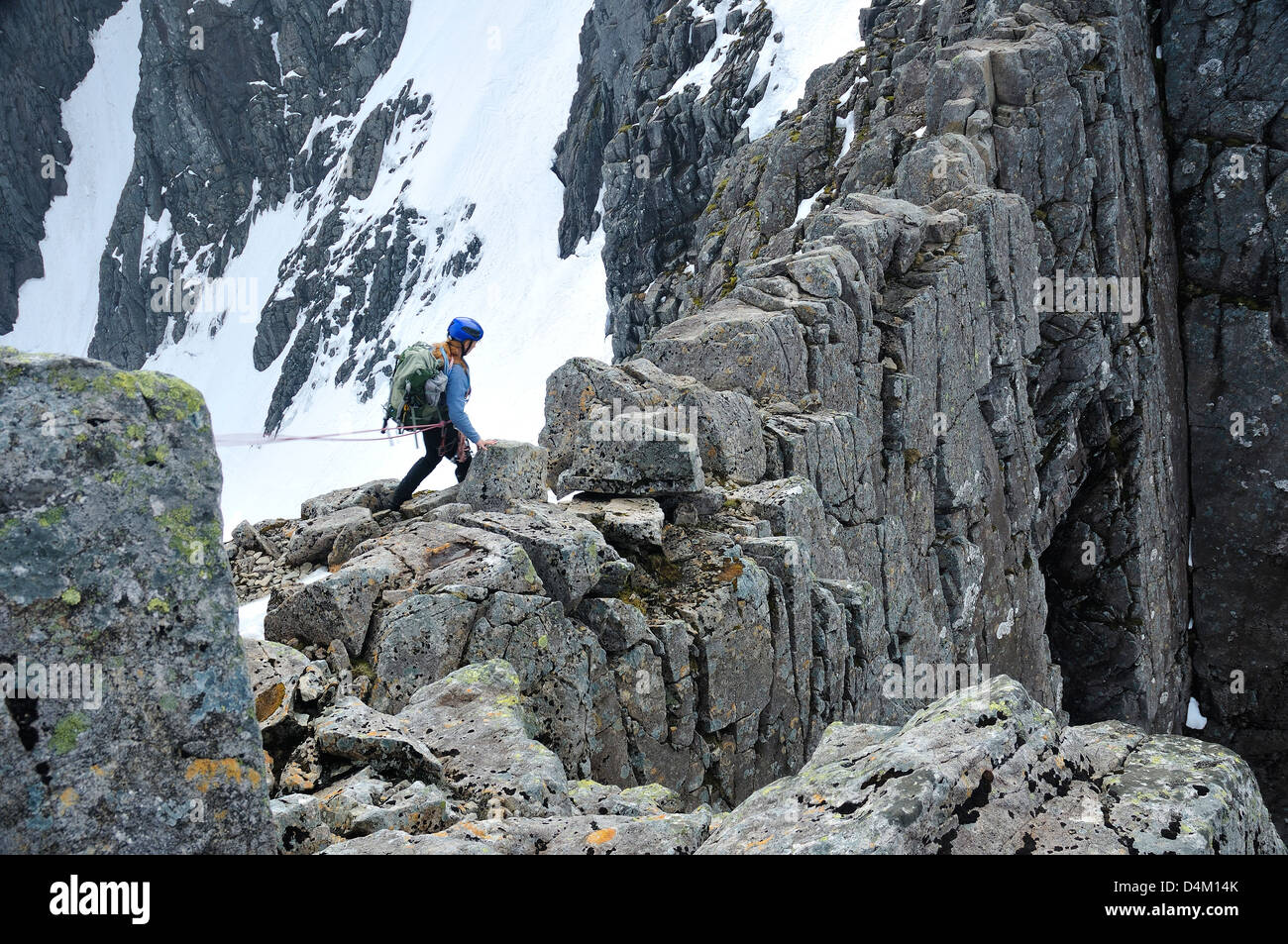 Bergsteiger auf Turm Ridge, Ben Nevis, eine klassische Route. Sie ist in der Nähe der berüchtigten Turm Lücke, eine harte Abschnitt hoch am Berg. Stockfoto