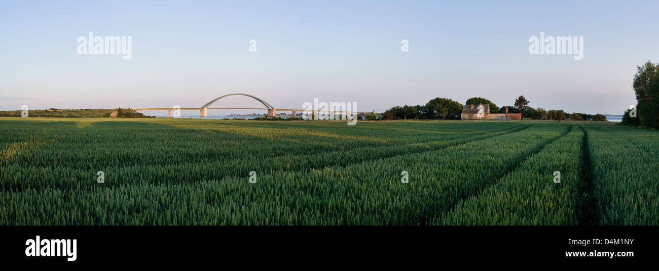 Der Fehmarn Sund Brücke bei Strukkamphuk Strukkamphuk, Deutschland Stockfoto