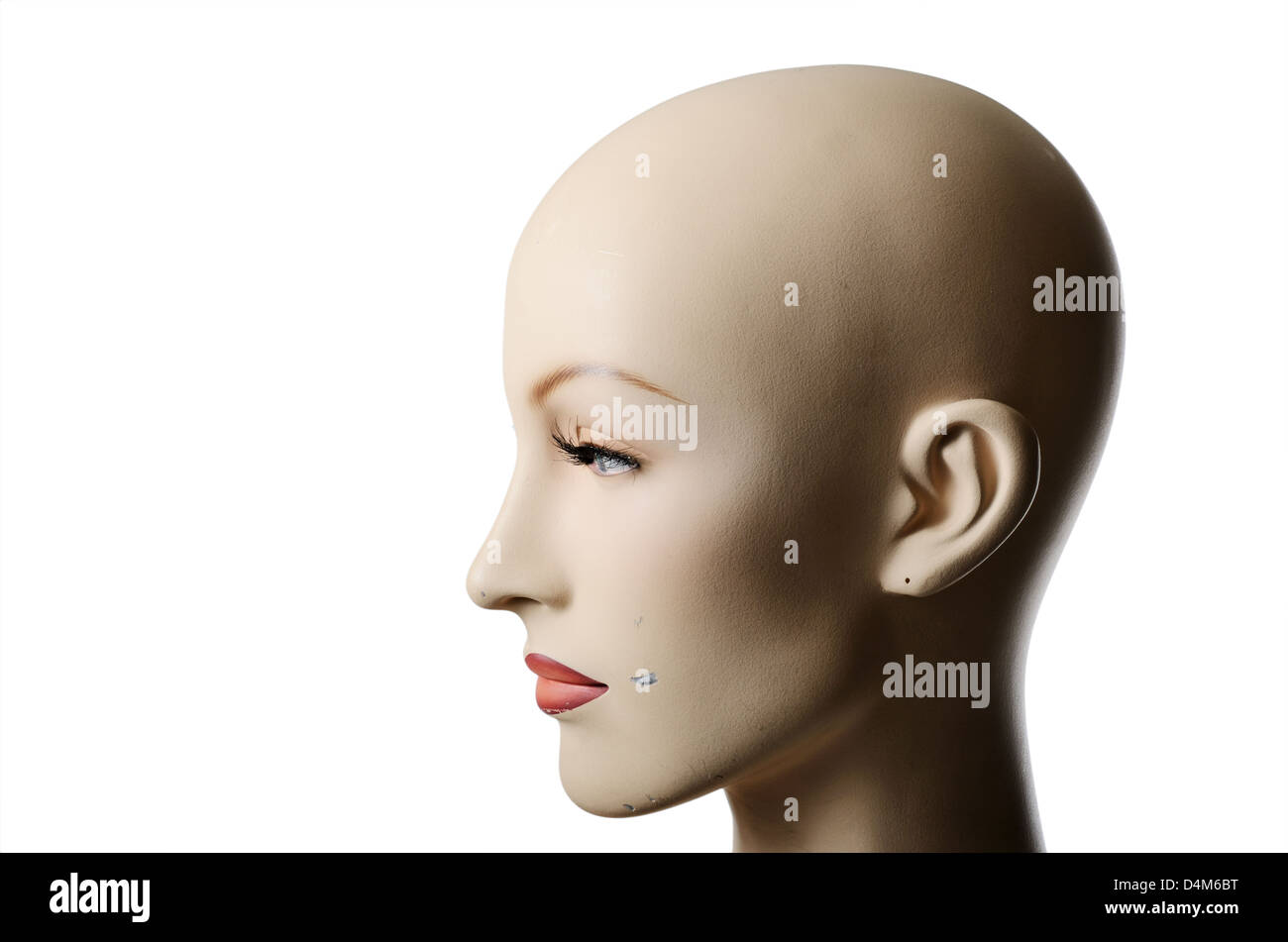 Kopfschuss von einem weiblichen Manneqin über weiße, horizontale Stockfoto