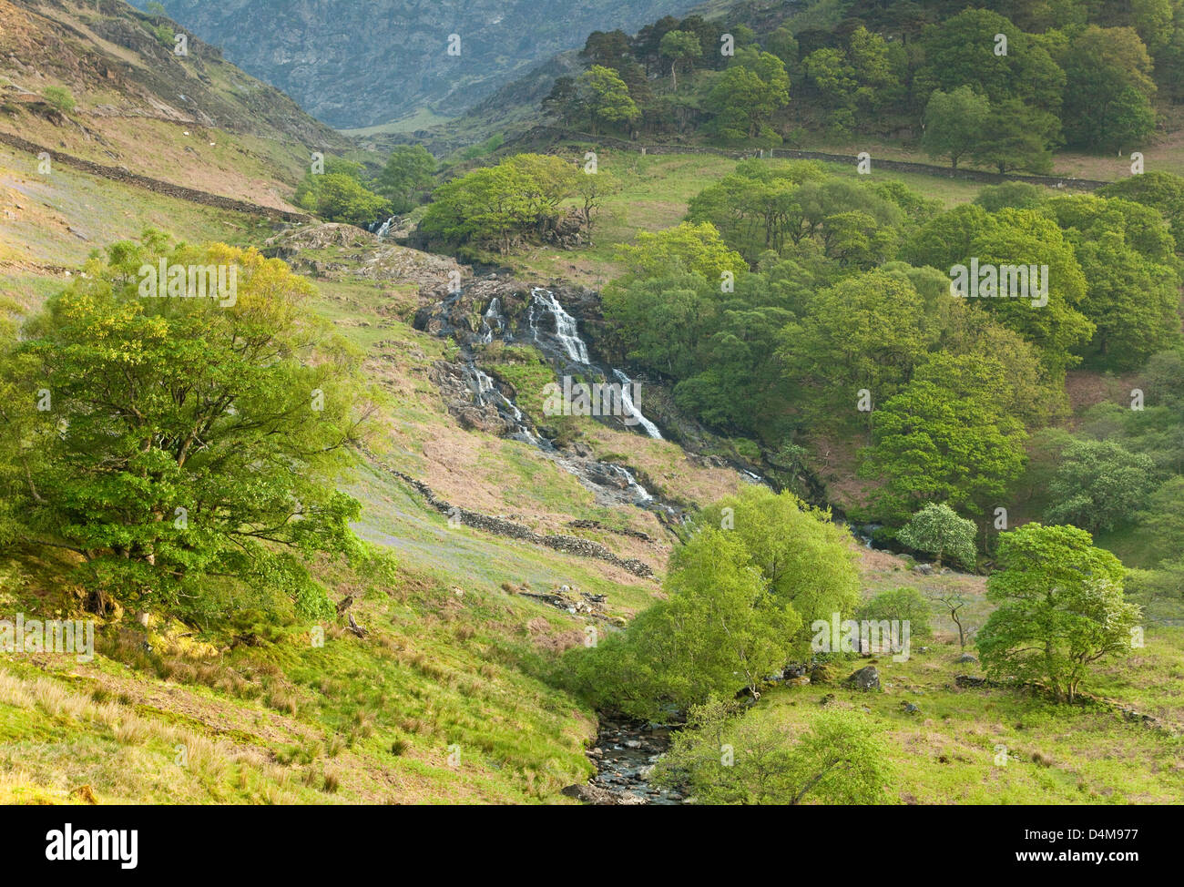 Wasserfälle, Cwn y Llan, off Watkin Pfad, Snowdonia National Park Gwynedd North Wales UK, späten Frühjahr. Stockfoto