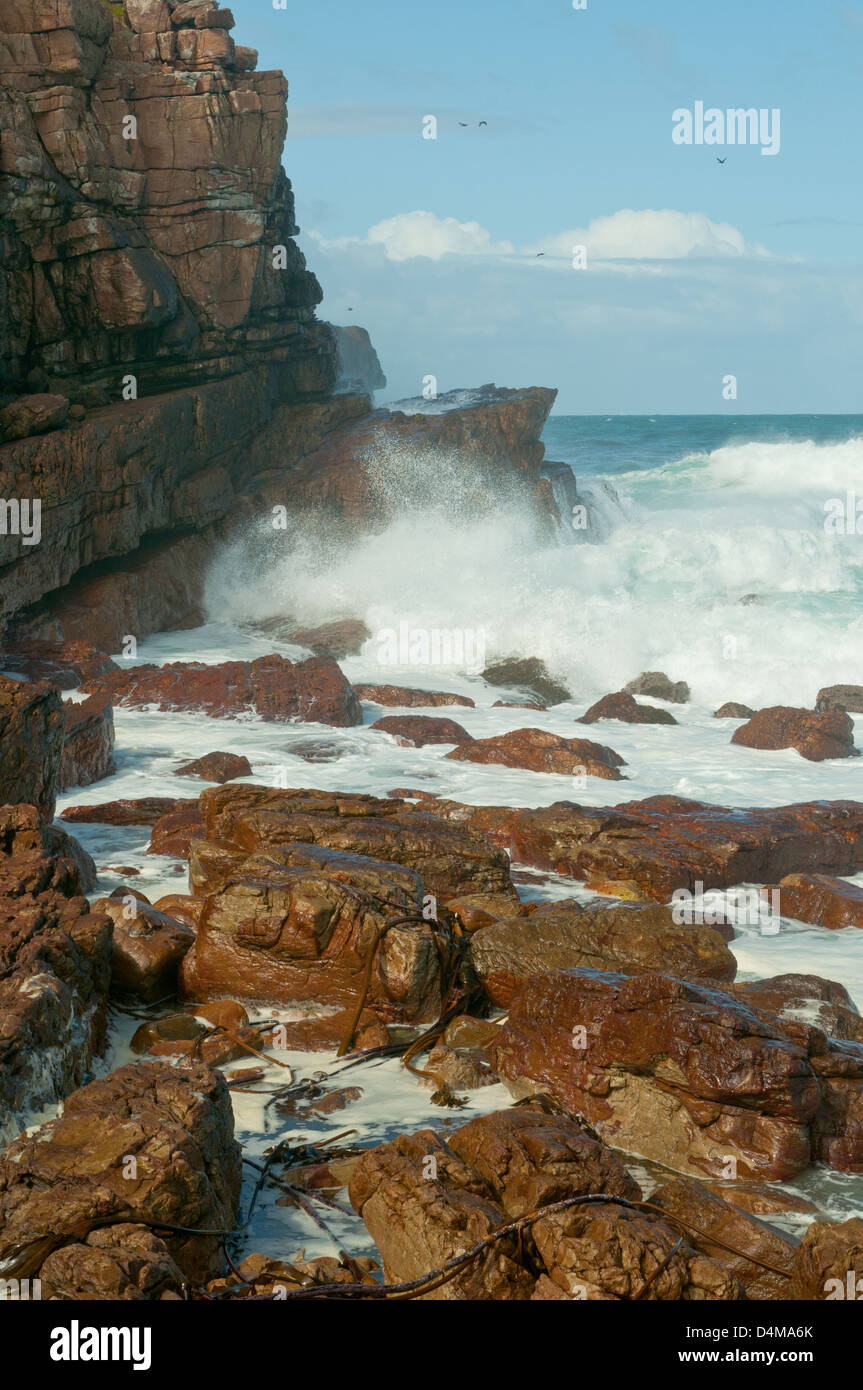 Kap der guten Hoffnung, Western Cape, Südafrika Stockfoto