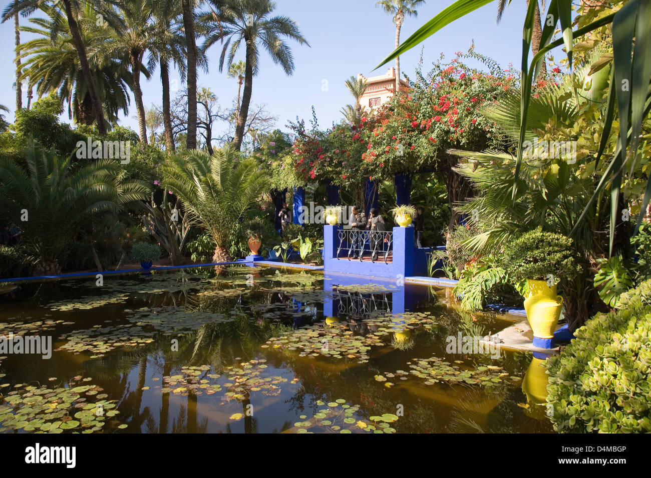 Afrika, Marokko, Marrakesch, Jardin Majorelle, erstellt von der Stylistin Yves Saint-Laurent Stockfoto