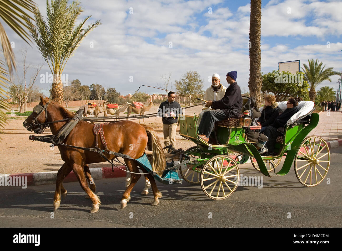 Afrika, Marokko, Marrakesch, Wagen für Touristen Stockfoto
