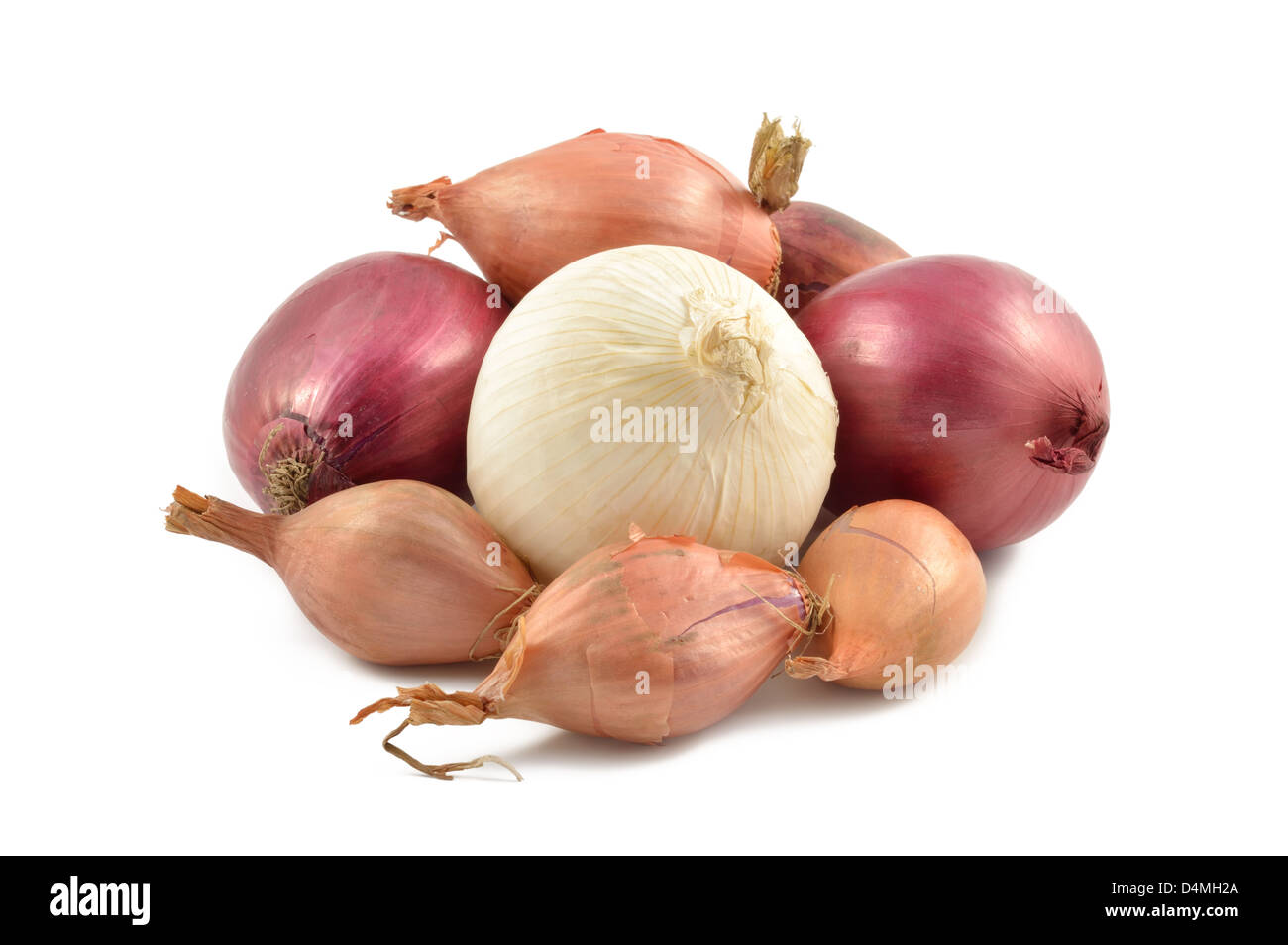 Zwiebeln, Schalotten, Knoblauch und weiße Zwiebel auf weißem Hintergrund Stockfoto