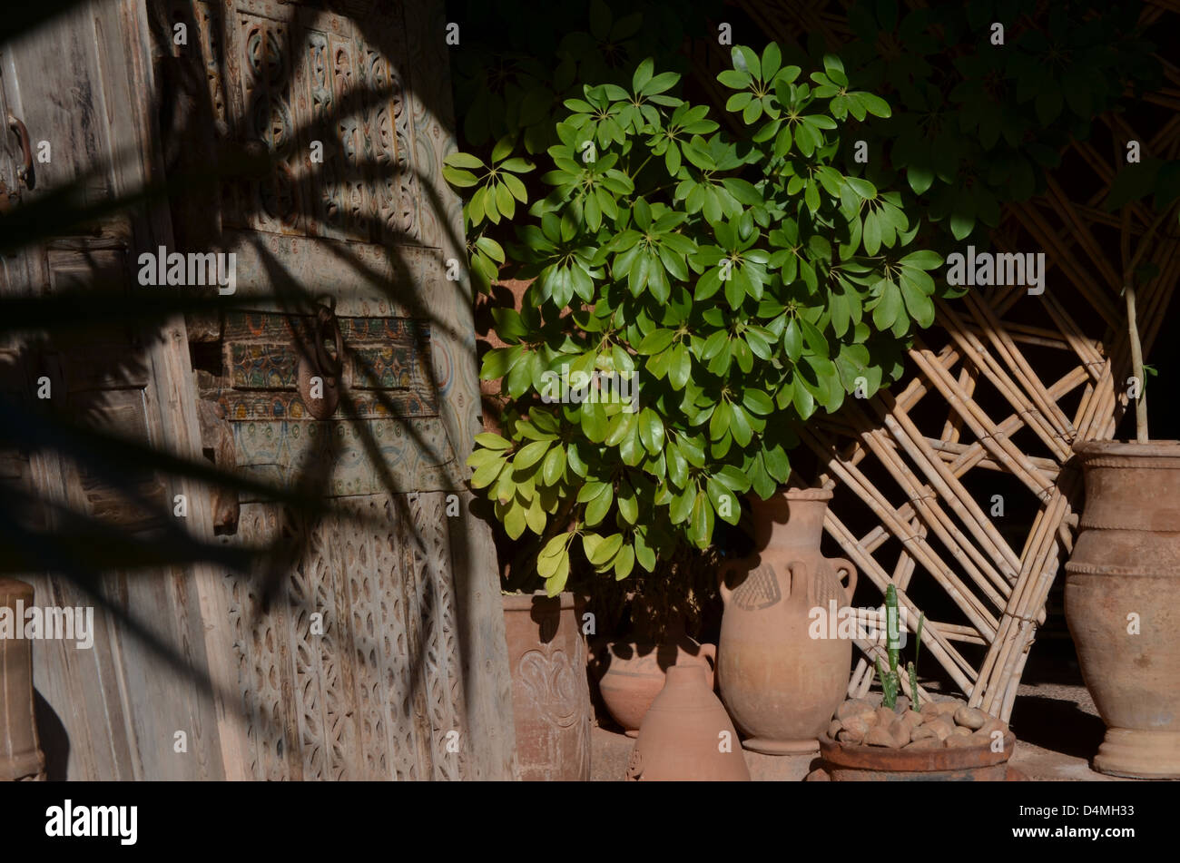 Marokkanische Garten Szene mit geschnitzten Tür und Terrakotta Töpfe Stockfoto