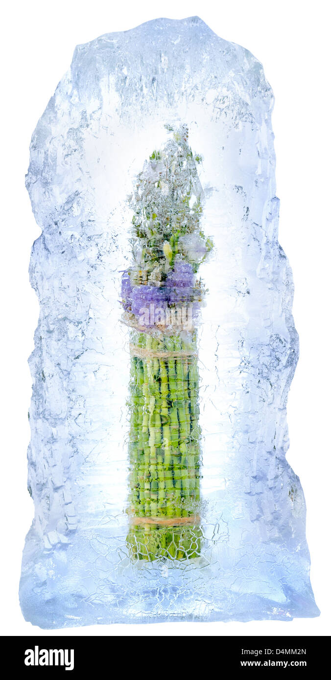 Collage. frische Blumen in einem Eisblock eingefroren Stockfoto
