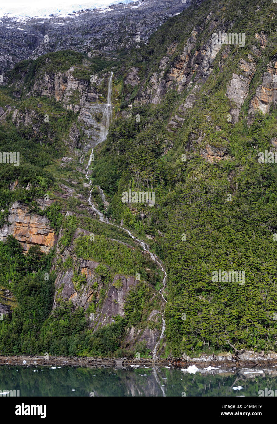 Ein Wasserfall läuft von einem Gletscher durch den Magellanschen subpolaren Wald in die Straße von Magellan Stockfoto