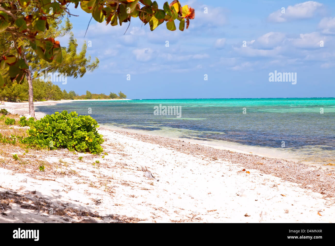 Seven Mile Beach auf Grand Cayman, Kaimaninseln Stockfoto