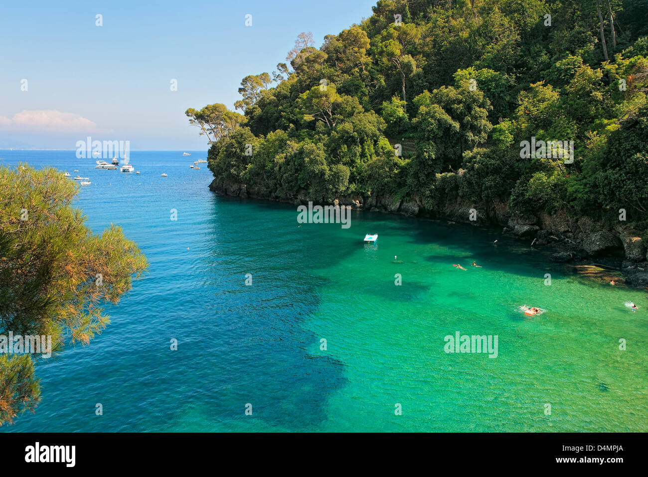 Kleine Bucht mit schönen gelb-grünen Wasser neben dem Felsen bedeckt mit Bäumen an Sommertag in Portofino, Italien. Stockfoto