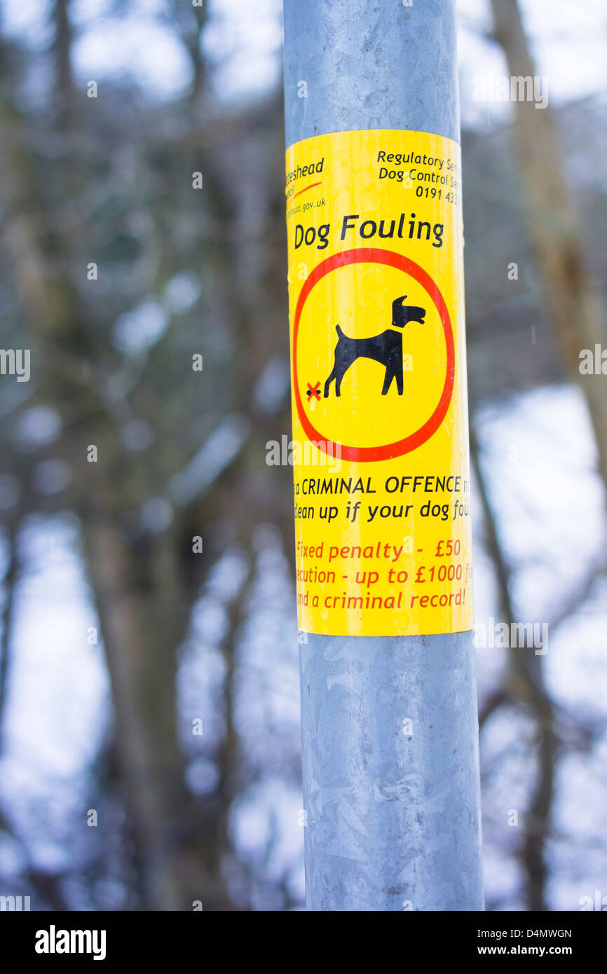 Ein Hund, fouling Schild an einem Laternenpfahl. Stockfoto