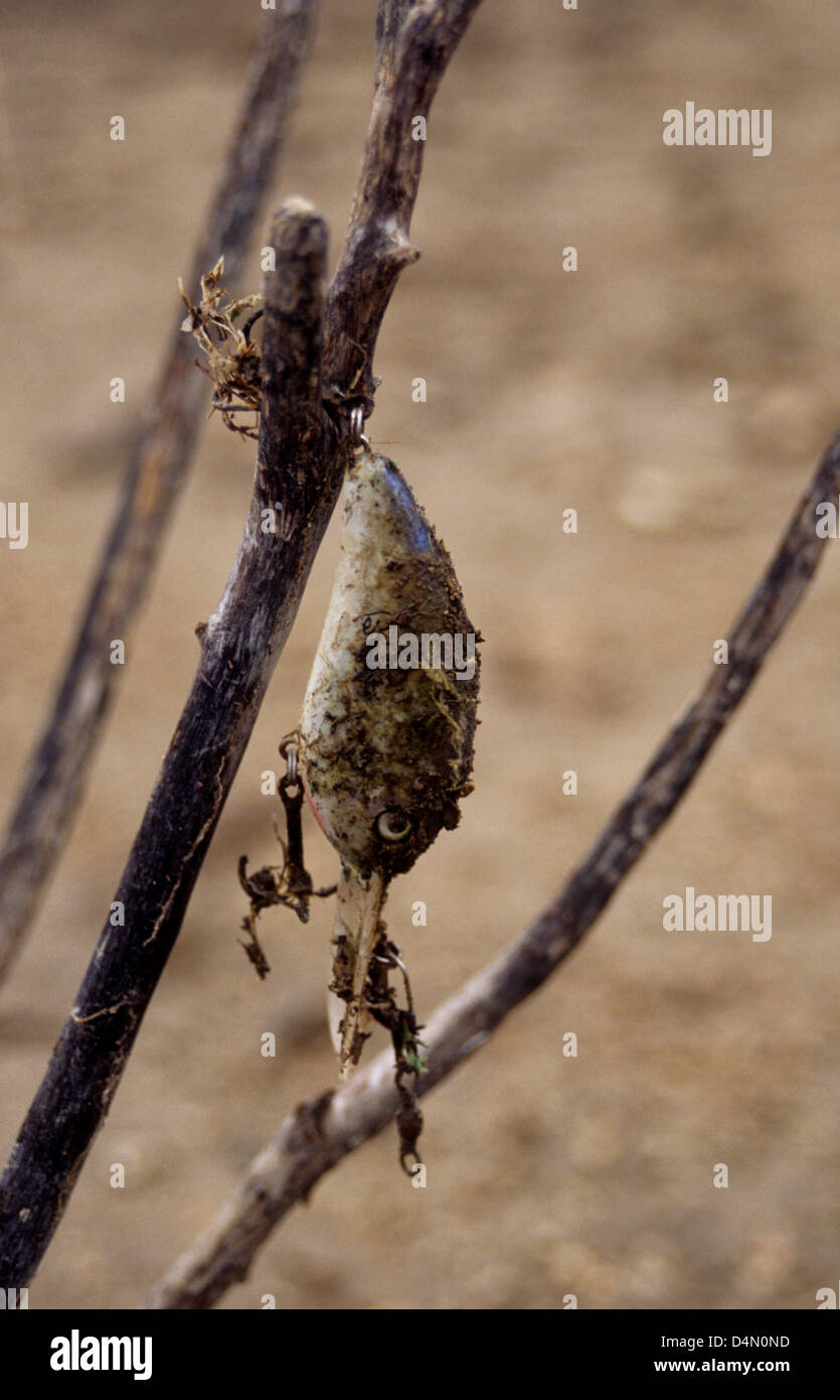Alten Bass Fischerei locken mit Moos bedeckt und in einem Baum hängen Stockfoto