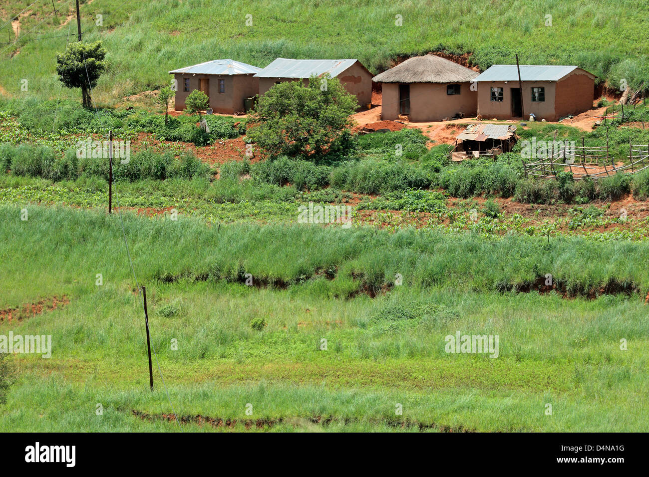 Kleine ländliche Hütten mit bebauten Ländereien, KwaZulu-Natal, Südafrika Stockfoto