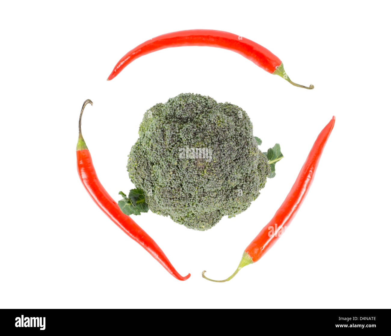 Frischer Brokkoli umgeben von drei roten Chilischoten auf weißem Hintergrund, hoher Winkel Stockfoto