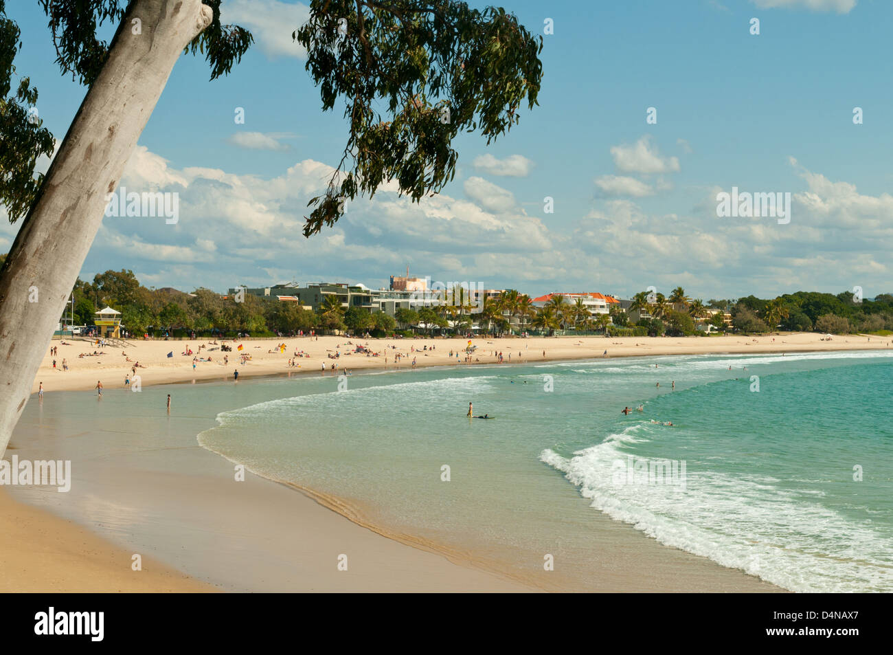 Noosa Beach, Noosa, Sunshine Coast, Queensland, Australien Stockfoto
