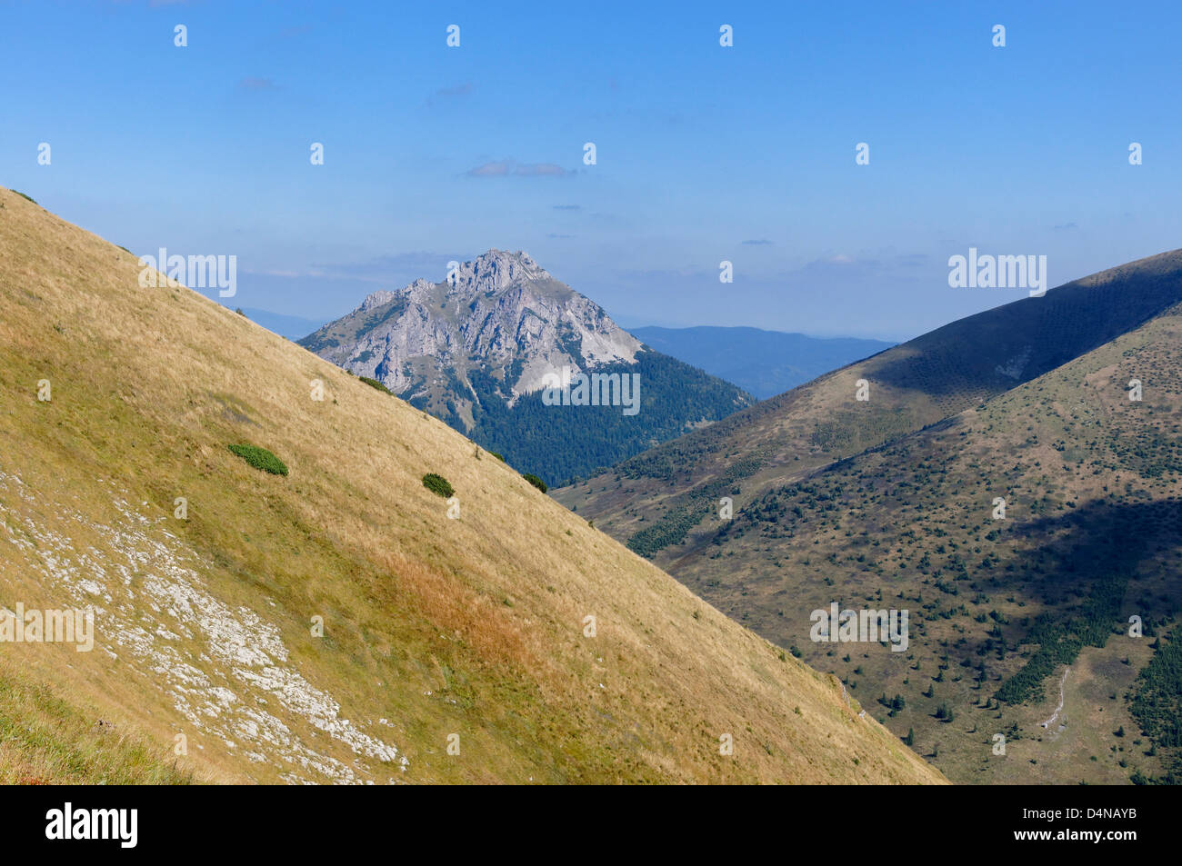 Blick Richtung Velký Rozsutec, Mala Fatra, Zilinsky Kraj, Slowakei. Von in der Nähe von Chleb Stockfoto