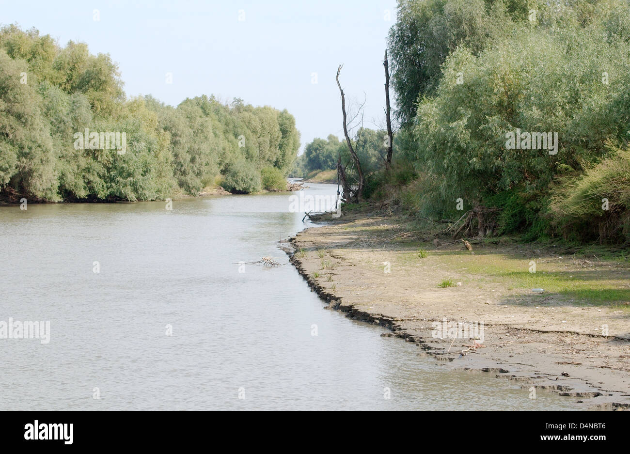 Fluss Landschaft, Donau, Tulcea, Rumänien, Europa Stockfoto