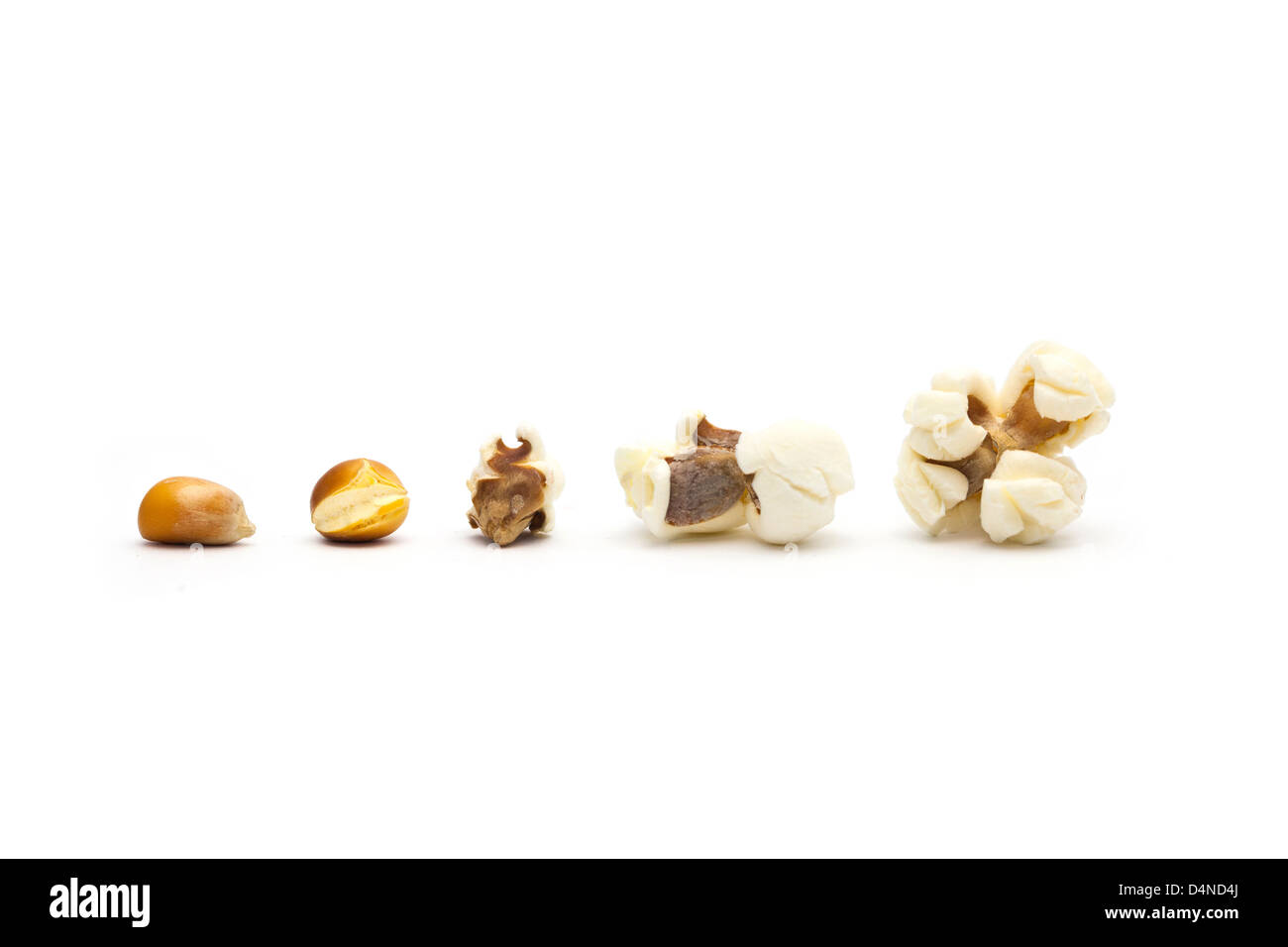 Vom Korn zum popcorn Stockfoto