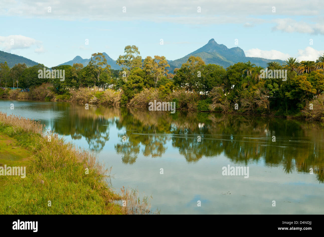 Reflexionen in Tweed River bei Murwillumbah, NSW, Australia Stockfoto