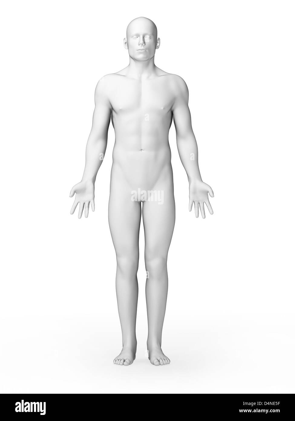 Weißen männlichen Körper Stockfoto
