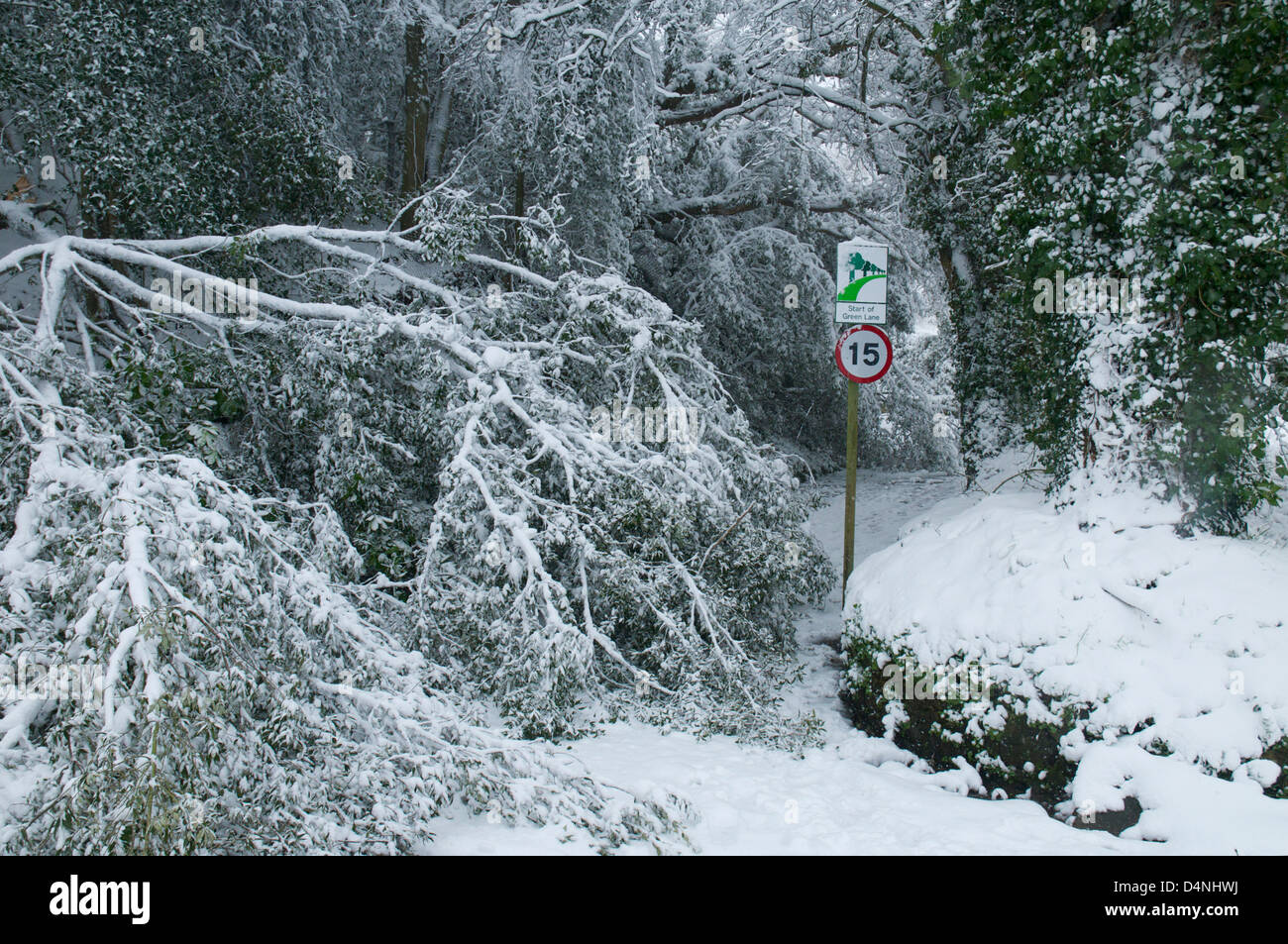 Jersey Channel Islands Landstraße in Freak Schneestürme März 2013 Stockfoto