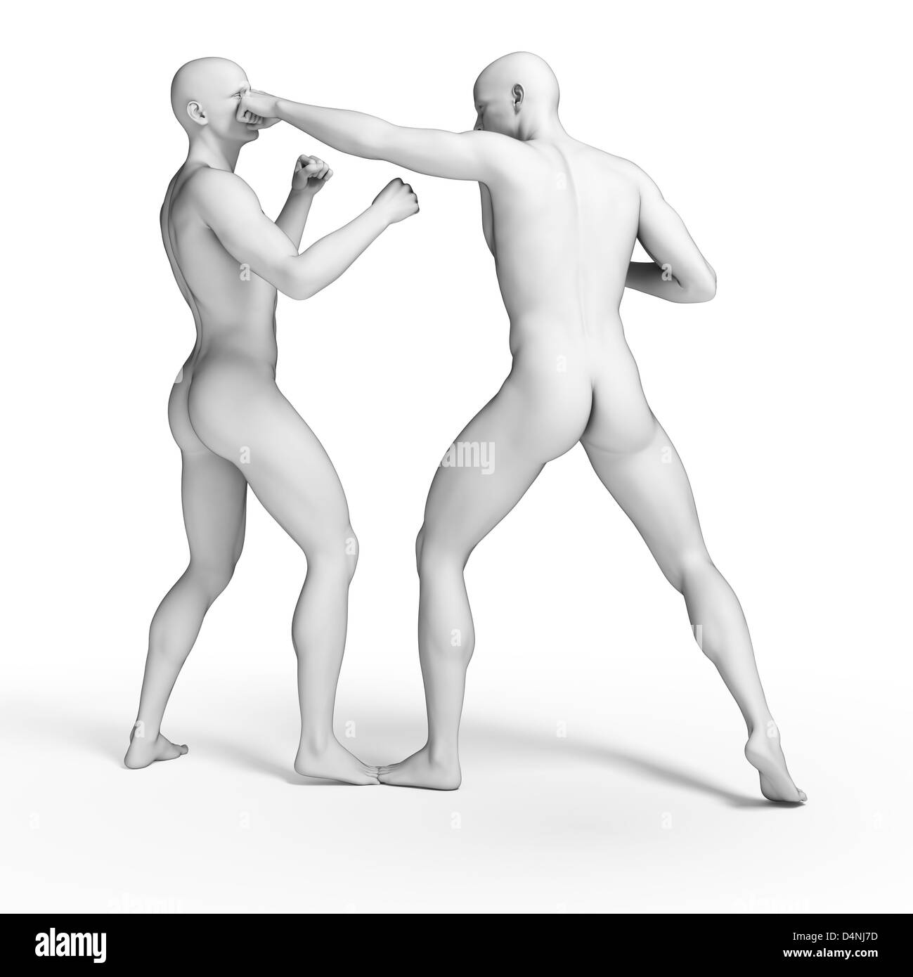 Weiße Kämpfer Stockfoto