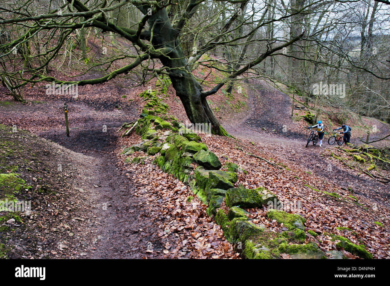 Offa es Dyke National Trail, Craig Forda Wald, in der Nähe von Oswestry, Shropshire, UK, mit zwei Mountainbiker Stockfoto