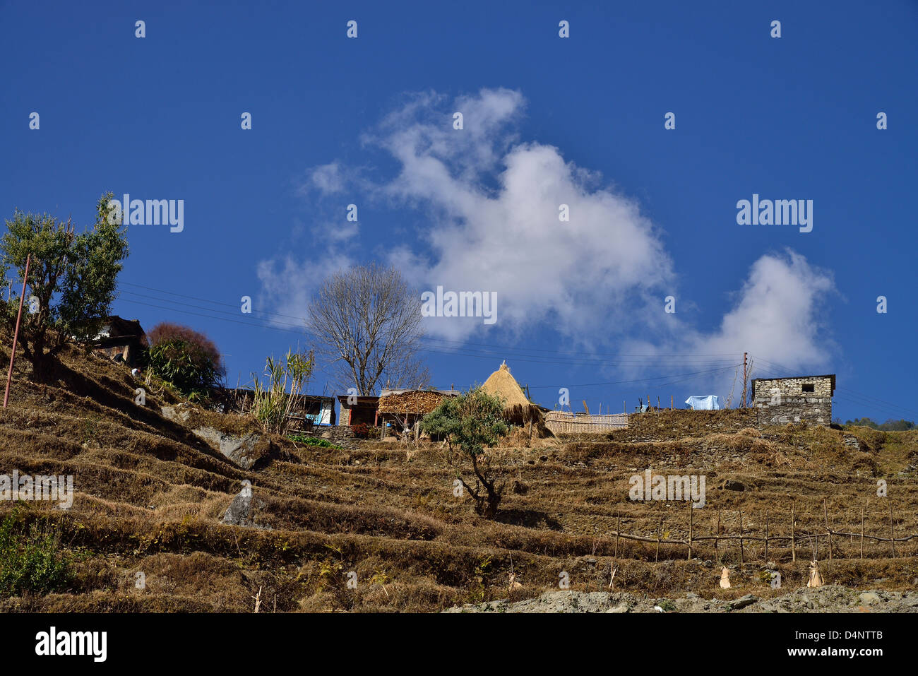 Ansicht der traditionellen nepalesischen landwirtschaftlichen Gemeinschaft, in der Chimrong Gegend, Annapurna Region Nepal Stockfoto