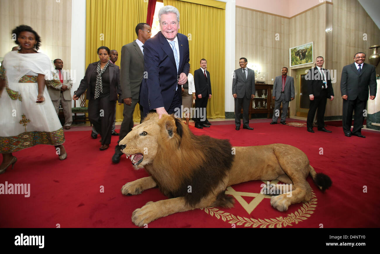 Bundespräsident Joachim Gauck (FRONT-C) Haustiere ein ausgestopfter Löwe im  Nationalpalast vor dem Schlafengehen, mit Hailemariam Desalegn (R),  Ministerpräsident der Demokratischen Bundesrepublik Äthiopien in Adis  Abeba, Äthiopien, 17. März 2013 zu ...