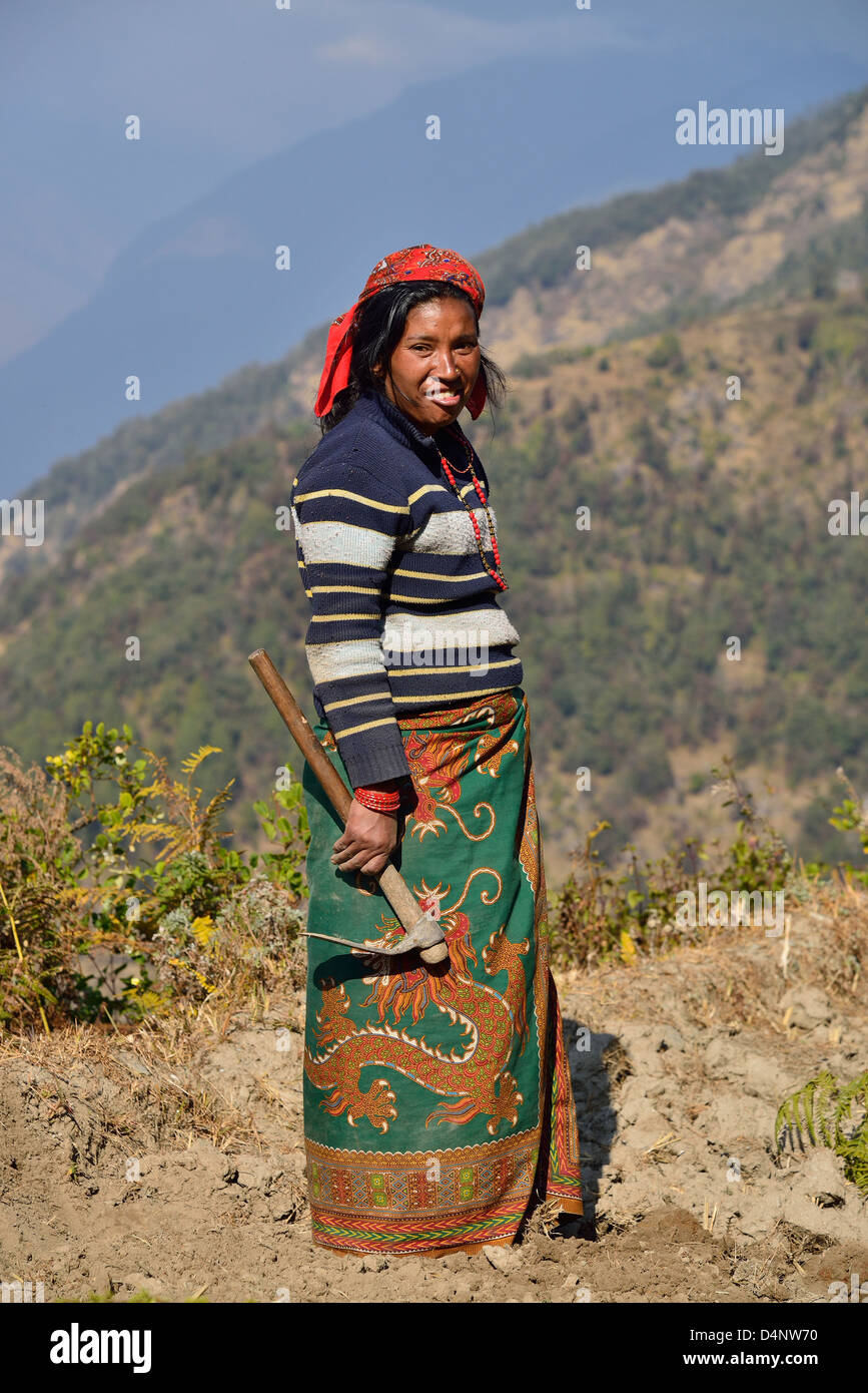 Bauer worker(Untouchables) mit Hacke auf Terrasse in Nepal, Vorbereitung der Umgebung bereit für die Bepflanzung. Stockfoto