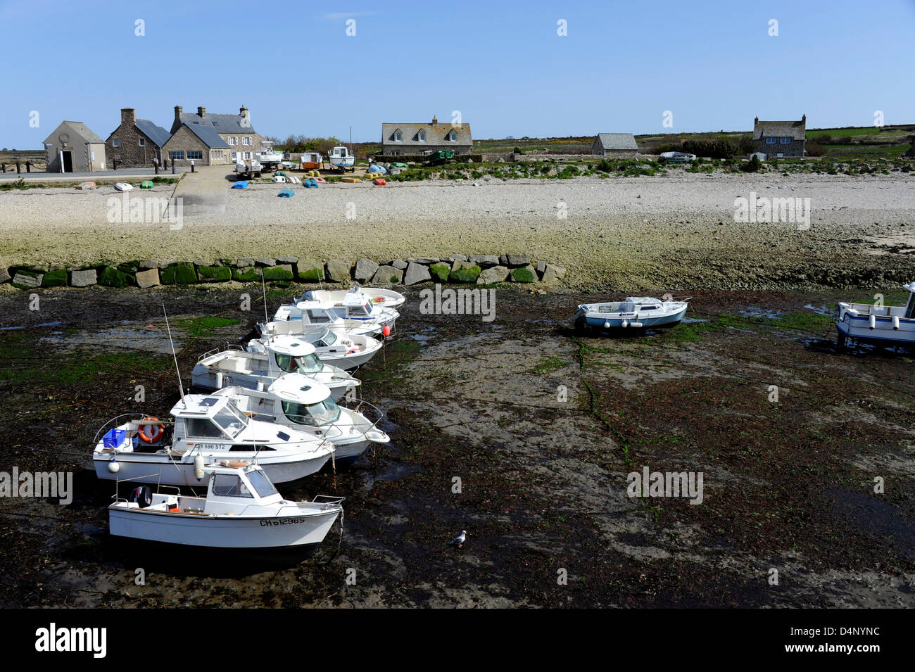 Angelboote/Fischerboote bei Ebbe im Hafen von Goury, Auderville, Cap De La Hague, Manche, Region Basse-Normandie, Cotentin, Frankreich Stockfoto
