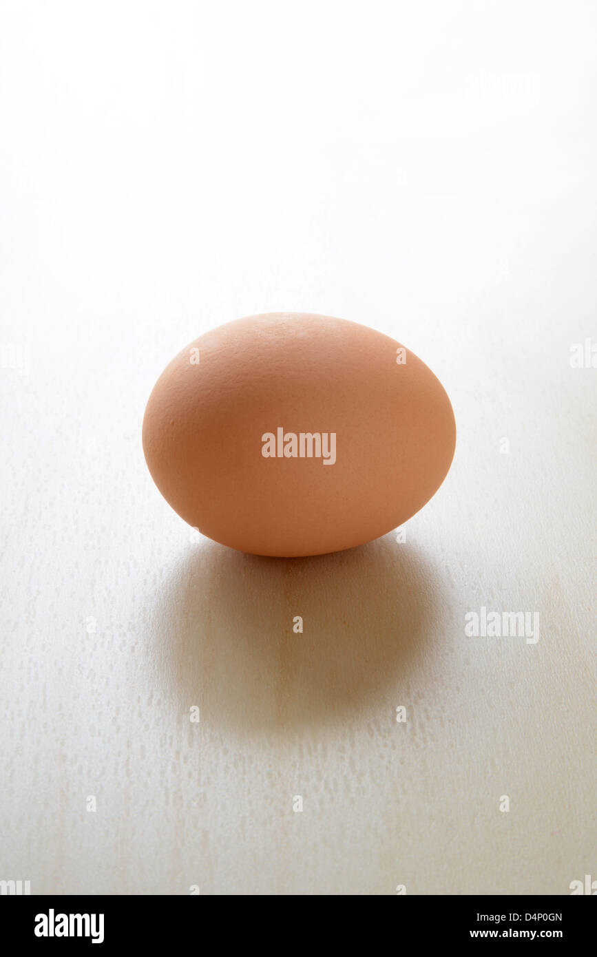 Ein einziges Hühnerei auf eine helle Fläche und einen weißen Hintergrund Stockfoto